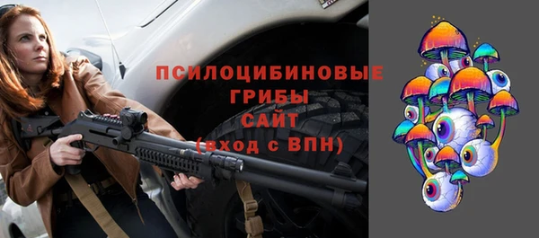 дживик Новозыбков