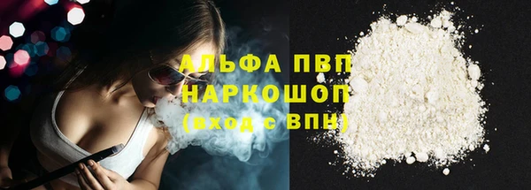 индика Новокубанск