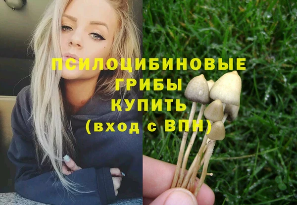 spice Новодвинск