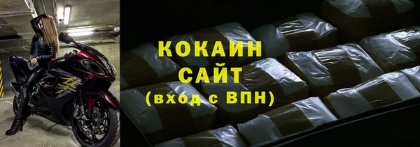 spice Новодвинск