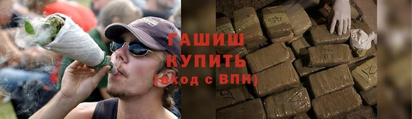 дживик Новозыбков