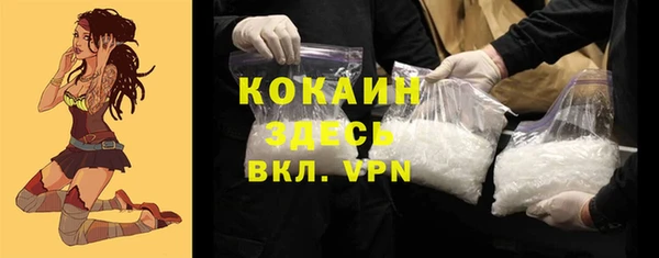 индика Новокубанск