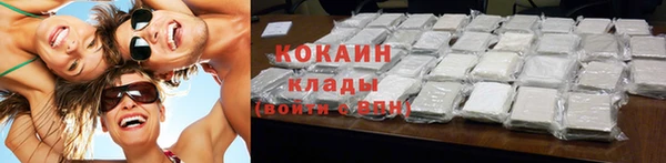 дживик Новозыбков