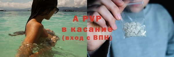 spice Новодвинск