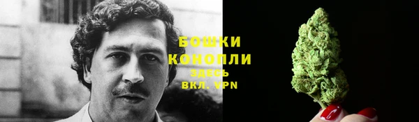 индика Новокубанск