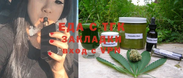 индика Новокубанск