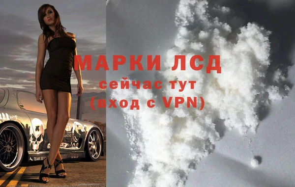 spice Новодвинск