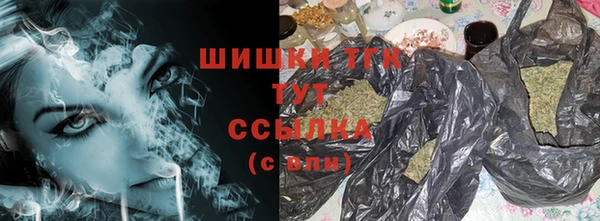 дживик Новозыбков