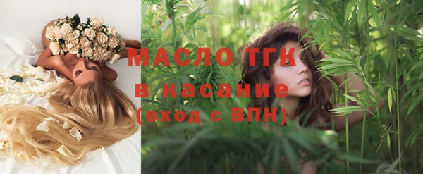 индика Новокубанск