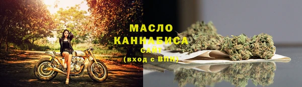 индика Новокубанск
