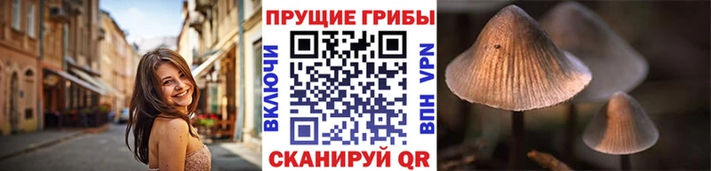 Псилоцибиновые грибы Magic Shrooms  Суоярви 